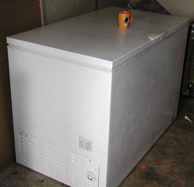 Everything stored in freezer with room to spare (coffee cup is used as a scale to the size of the freezer)
 
    